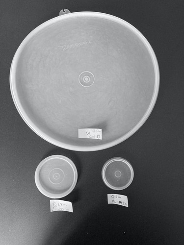 Tupperware couvercles pour