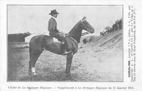 Cpa bretagne hippique - cpa,
