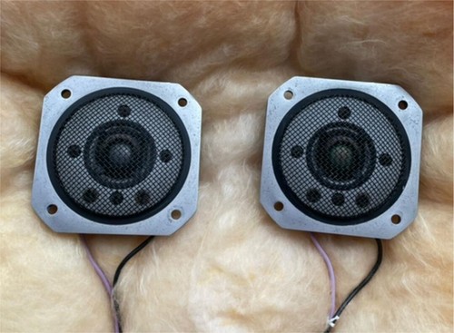 Paire tweeters yamaha - paire,