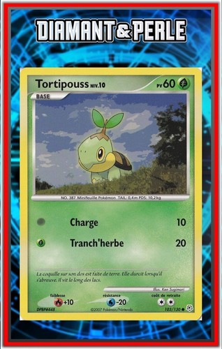 Tortipouss diamant perle - diamant,