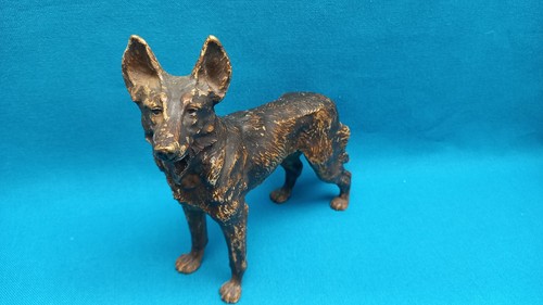 Imposant chien berger - chien, allemand