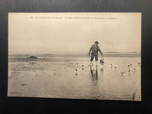 Cpa chasse baie de - en,