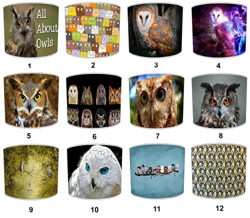 Hiboux oiseaux lumière - hiboux,