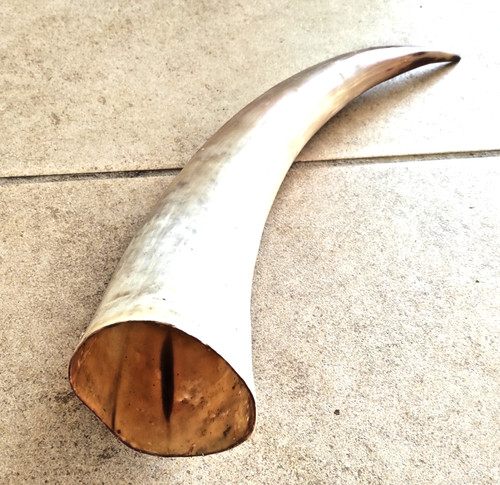 Corne boire 56cm - à,