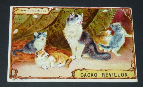 Chromo 1900 1910 chocolat - 1900-1910,