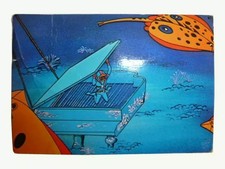 Oum le dauphin Image Vitho n°