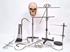 CRANIOLOGIE ANTHROPOLOGIE