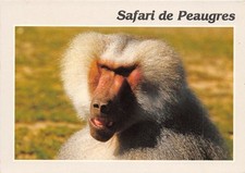 07-PEAUGRES-SAFARI