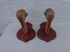 Lot 2 râtelier, porte-fusil ou décoration