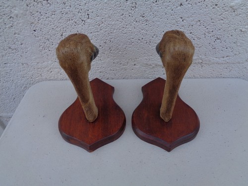 Lot râtelier porte fusil - 2, râtelier,