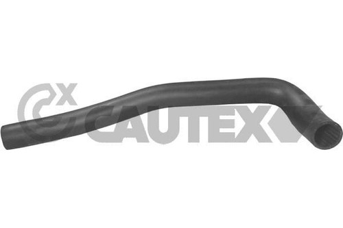Durite radiateur inferieur - durite, de