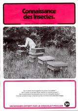 LOT  DE  9  ALBUMS  IMAGES