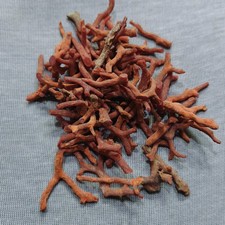 Pierre précieuse brute de