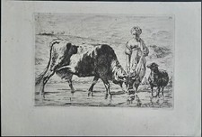 Vache à l'abreuvoir par