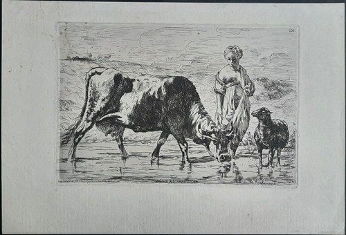 Vache abreuvoir par - à, l'abreuvoir