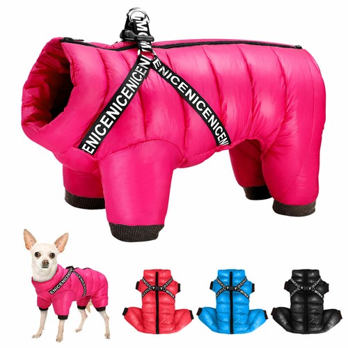 Manteau pour petit - manteau, chien