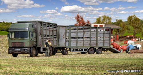 Camion bétail avec - camion, de