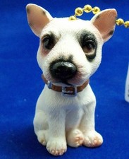 Irresistable Bull Terrier