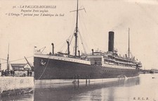 🦬Carte Postale / Postcard /