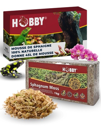 Terraristik sphaigne i - terraristik,