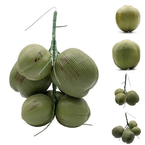 Noix coco artificielle - noix,