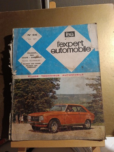 Expert automobile 66 - l'expert,