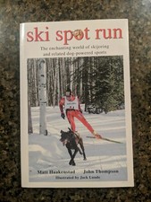 Ski Spot Run: The Enchanting