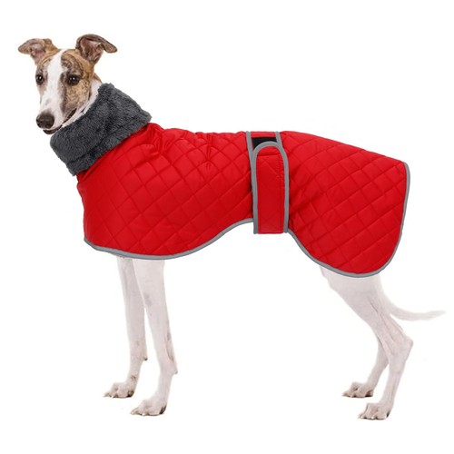 Manteau chien hiver - manteau, pour