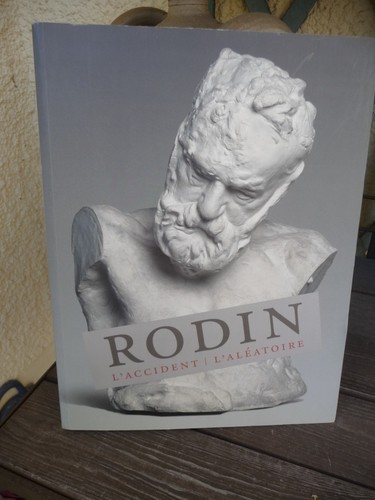 Rodin accident - rodin, :