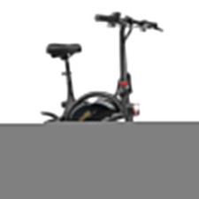 Draisienne électrique Urbanglide Bike 120+ 350 W Noir