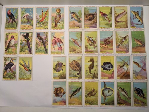 Lot anciens chromos - 32,