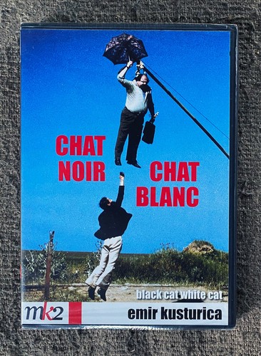 Chat noir blanc - chat,