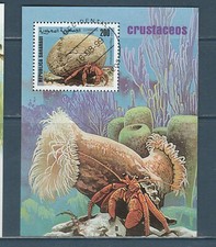 BLOC nature faune vie marine