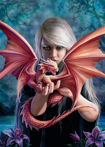 Puzzle dragon 1000 - "dragon", pièces