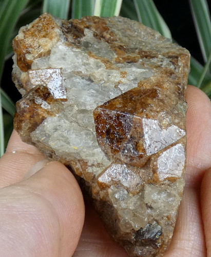 Grenat hessonite sur matrice - grenat,