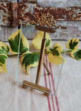 ANCIEN PETIT CADRE PHOTO