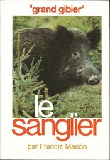 Le Sanglier, Grand Gibier, Identification, Reproduction.. Chasse, Battue, Marion