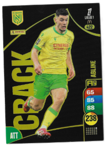 Card carte panini adrenalyn - panini,