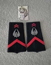 Paire de fourreaux d'épaule