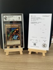 Bras Droit De L’interdit : BLCR-FR104 Starlight Gradée 9