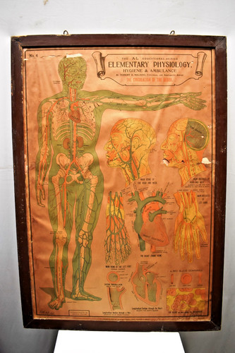 Affiche vintage scolaire - affiche,