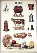 ? Ancienne affiche scolaire Deyrolle originale, 1950 - Le lait, fromages