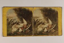 Nature Morte Artistique Oiseaux Canards Stereo Vintage Albumine Abimé