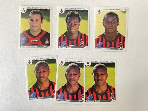 Panini foot 2009 lot 6 - foot,