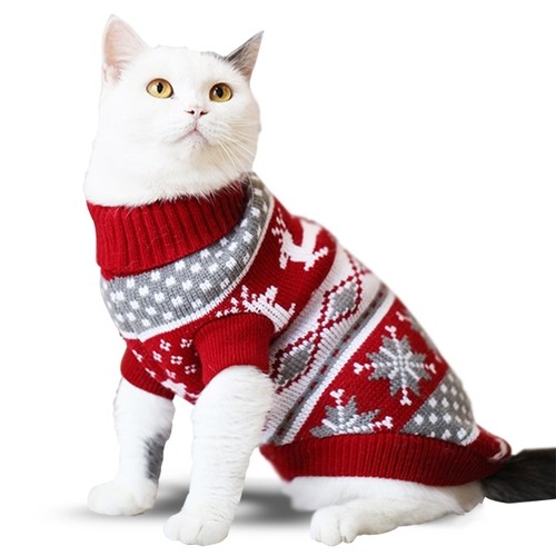 Pull noël pour animal de - pour,