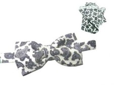 Abbinée Homme Cravate À