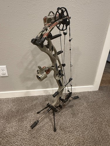 Hoyt rx10 lbs custom and - hoyt,