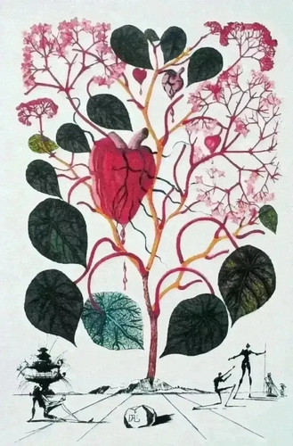 Salvador dali begonia - salvador, le