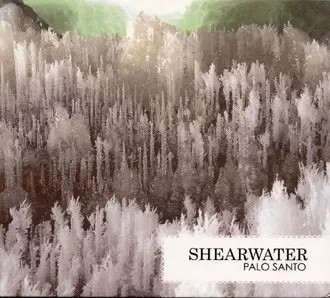 Palo santo shearwater - palo, santo,