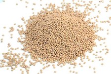 Noyaux de cerise en vrac pour coussin chauffant aux noyaux de cerise Nettoyé 1Kg